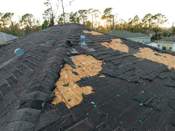 Best Metal Roofing Installation  in Martinsvle, IL